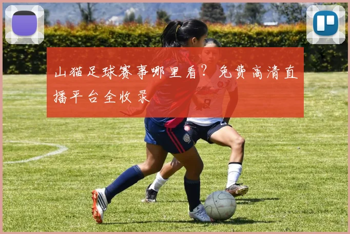 山猫足球赛事哪里看？免费高清直播平台全收录
