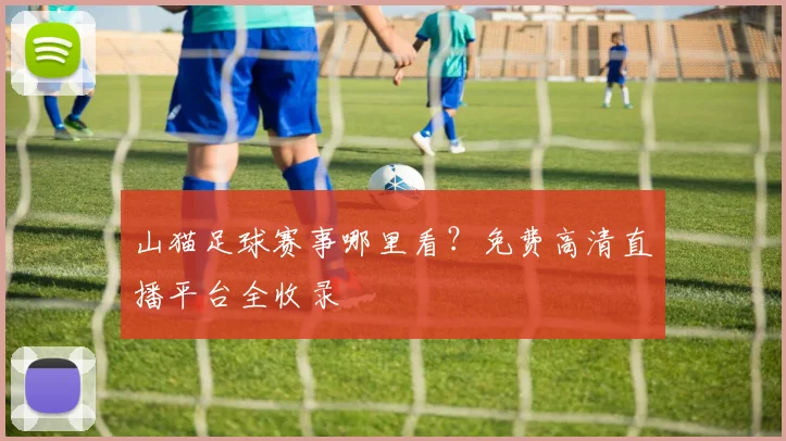 山猫足球赛事哪里看？免费高清直播平台全收录